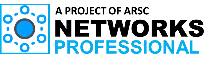 network professional